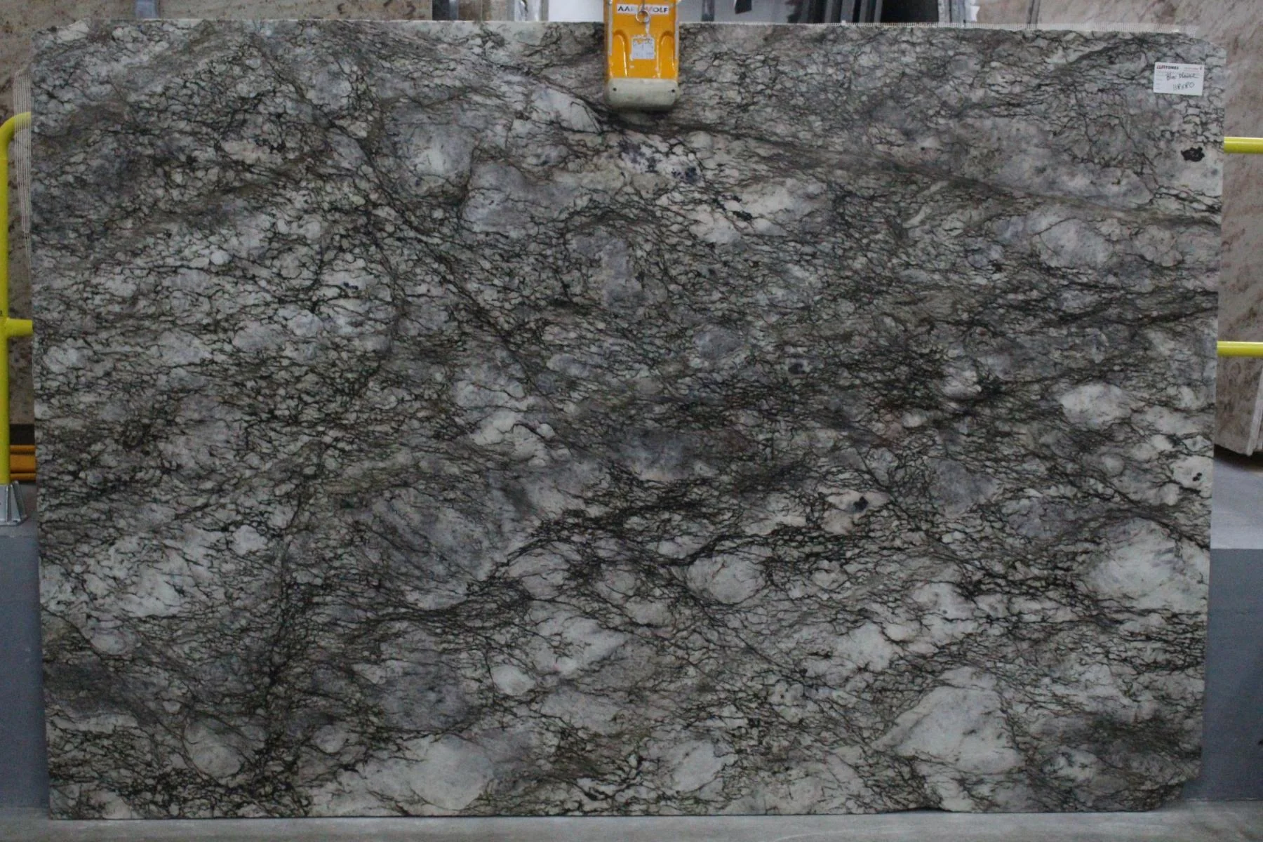 Blue Flower Granite granite slab