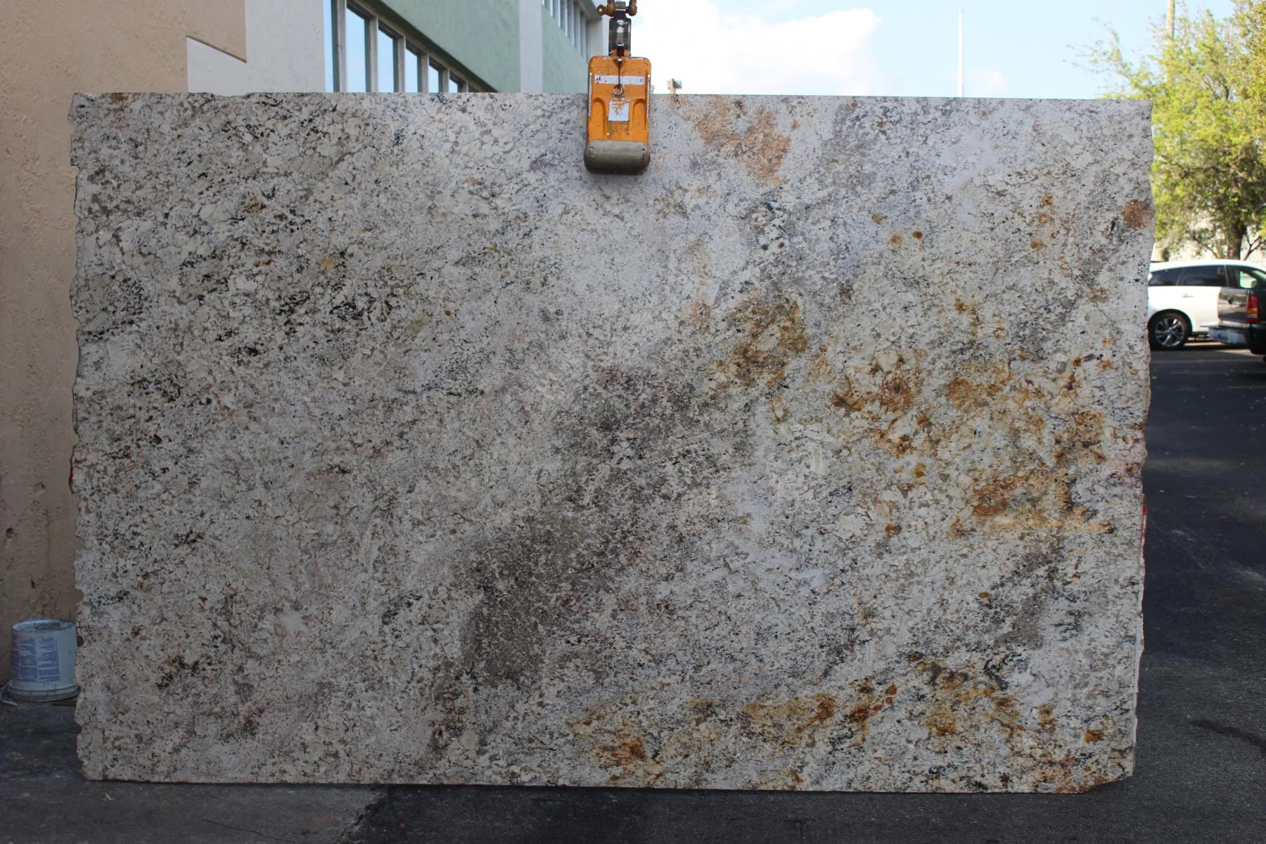 Delicatus Granite granite slab