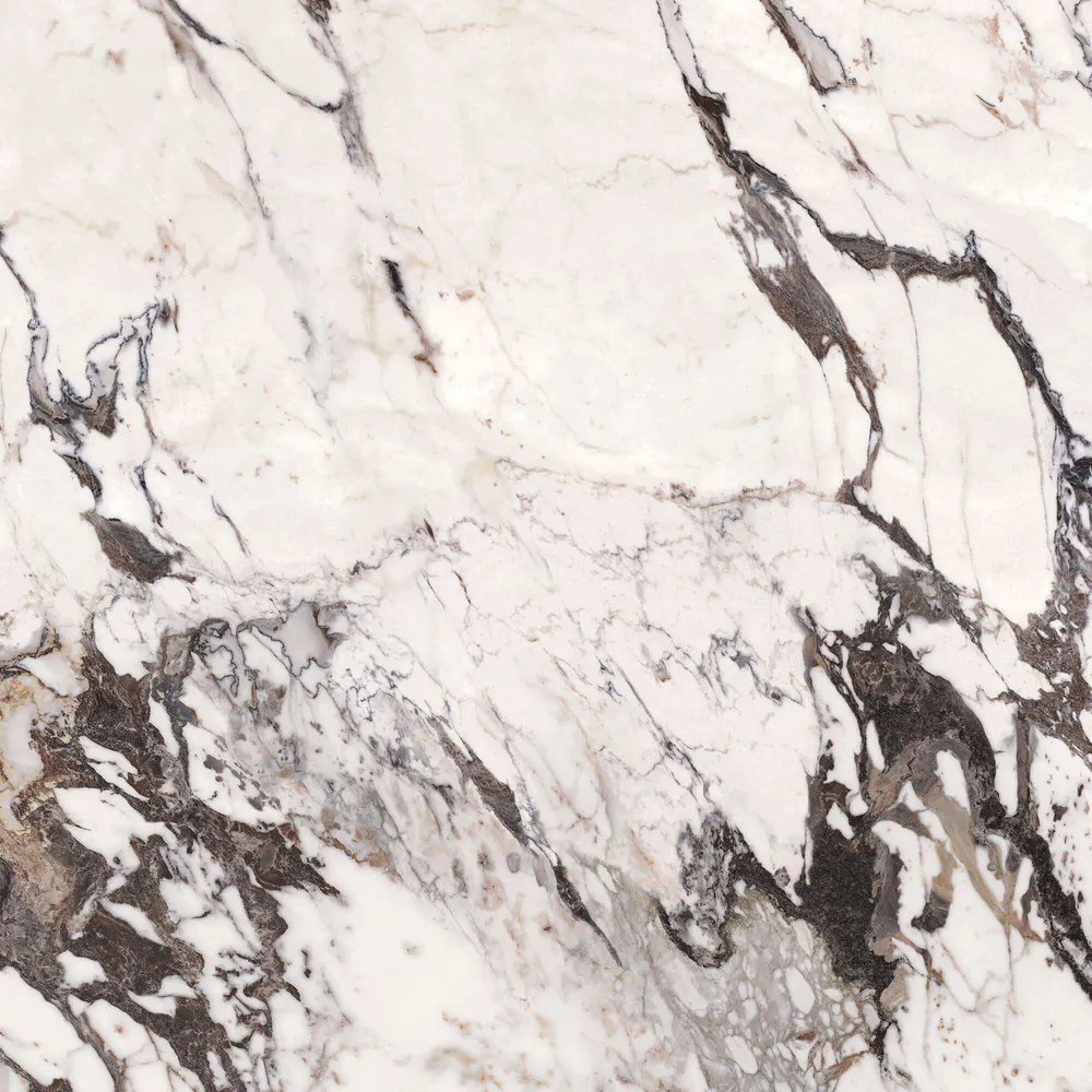 Calacatta Aries full slab