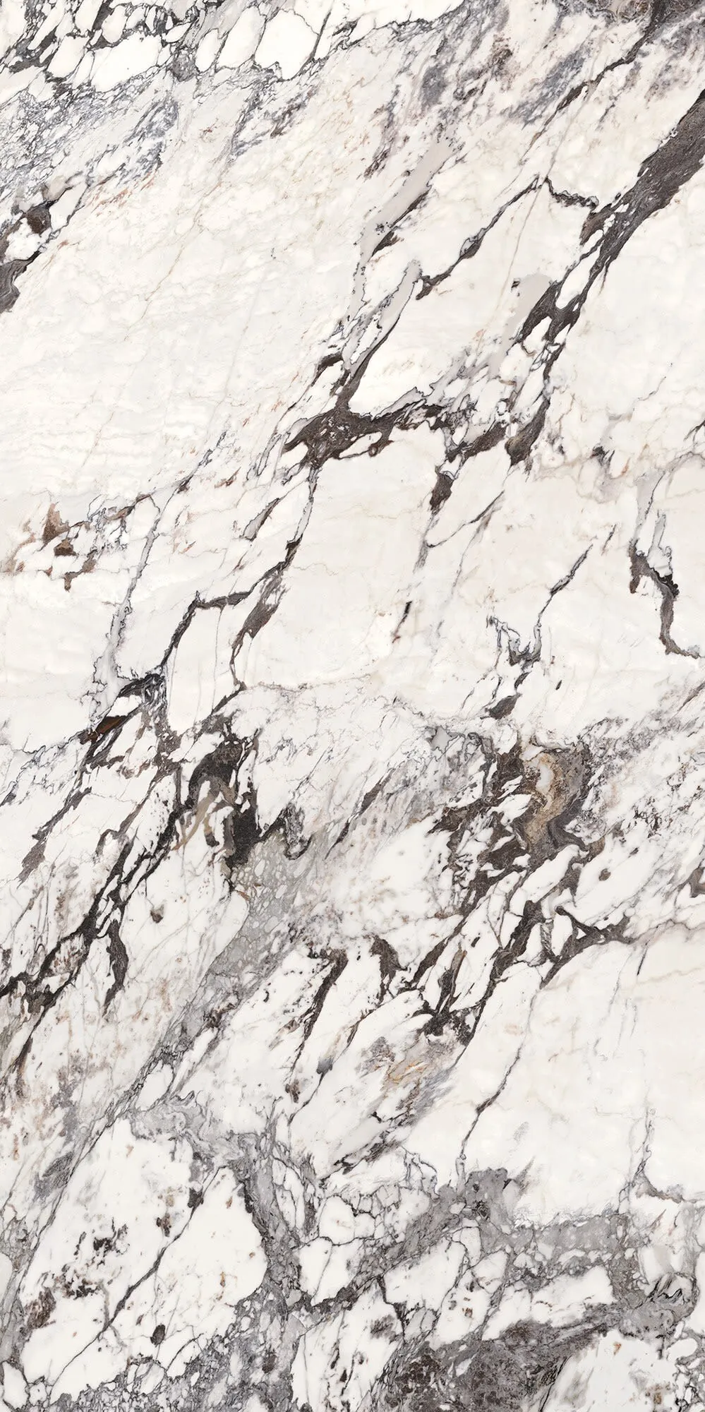 Calacatta Aries kitchen