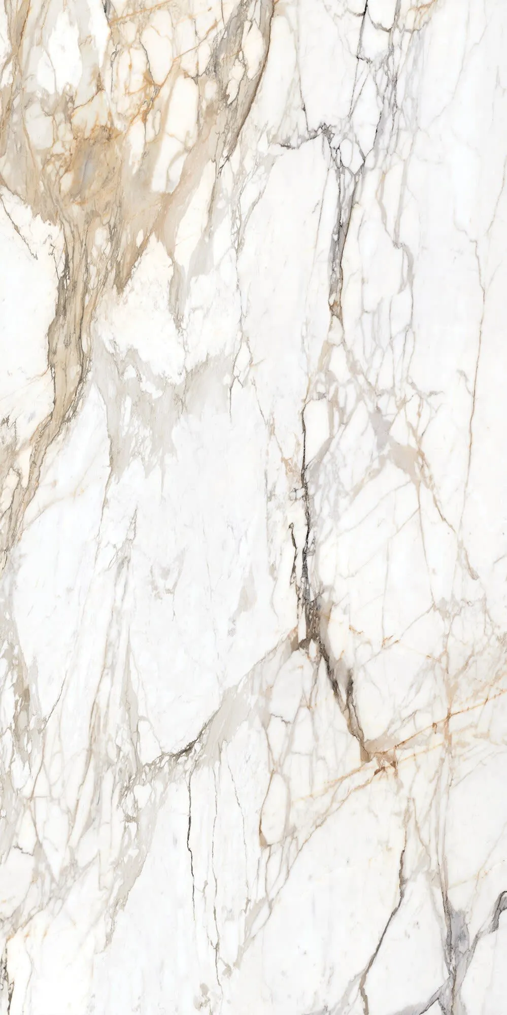 Calacatta Topaz install