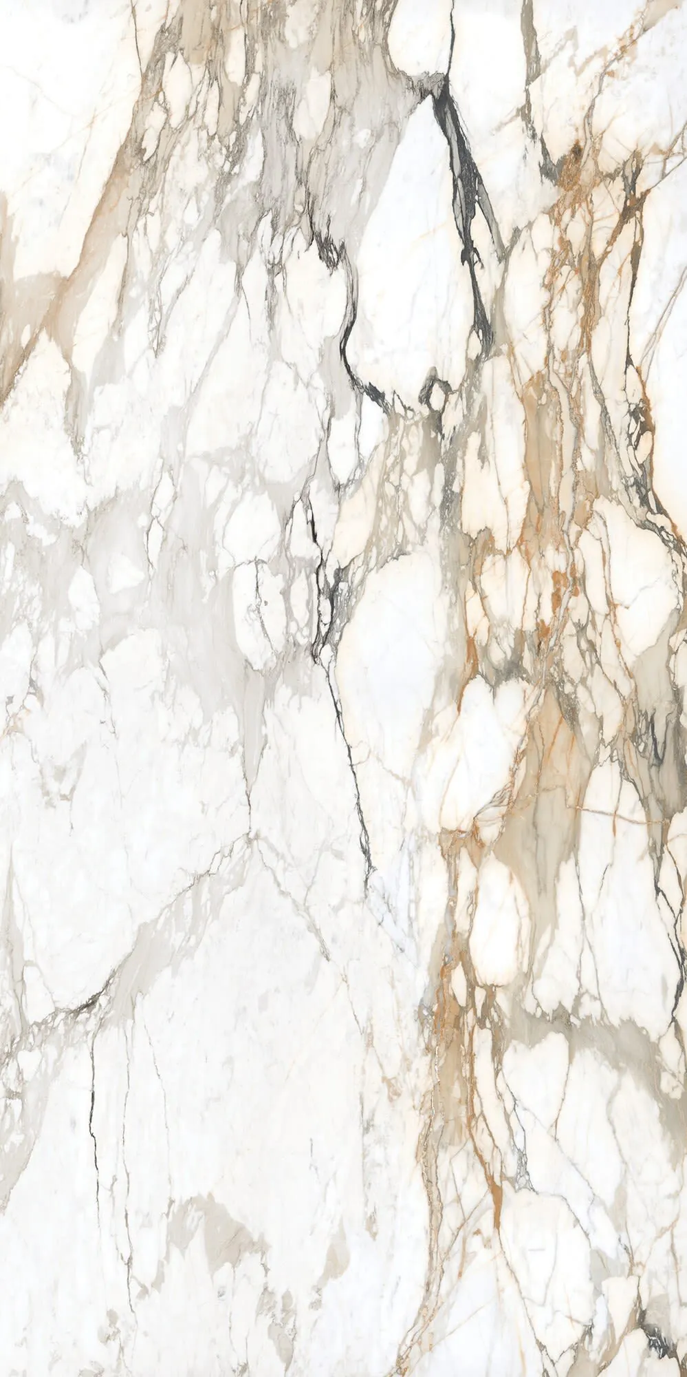 Calacatta Topaz Daltile quartz / porcelain with brass hardware