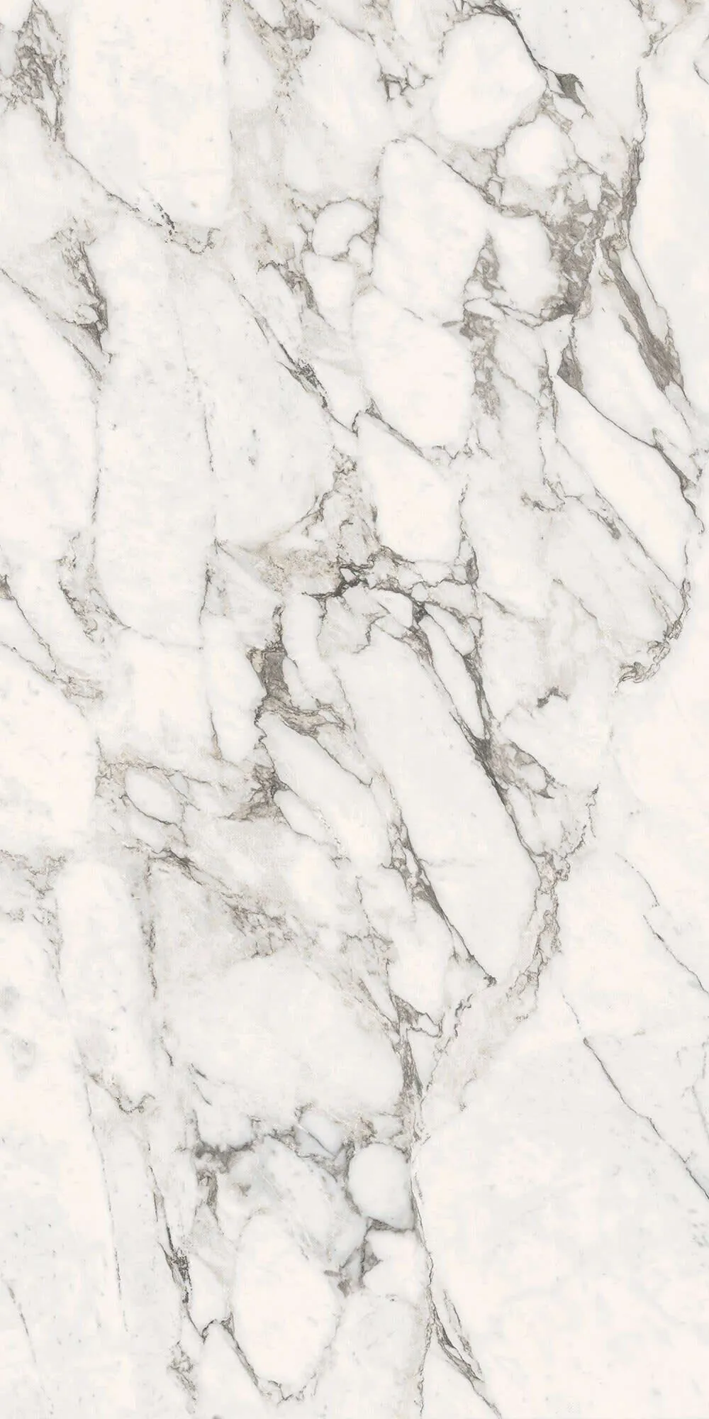 Gypsum Calacatta full slab