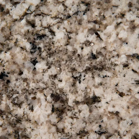 MSI Arctic Sand granite countertop slab