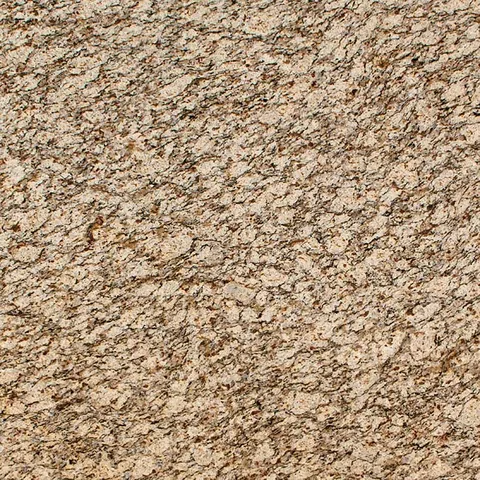 MSI Santa Cecelia granite countertop slab