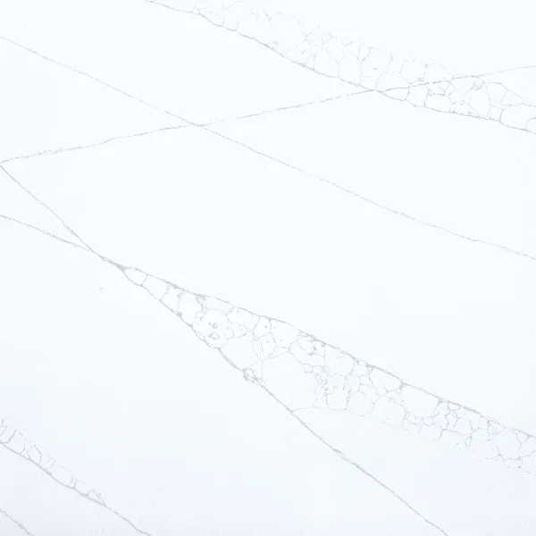Pompeii Blanc Noir quartz countertop slab