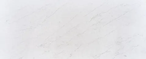 Raphael Organic White quartz countertop slab