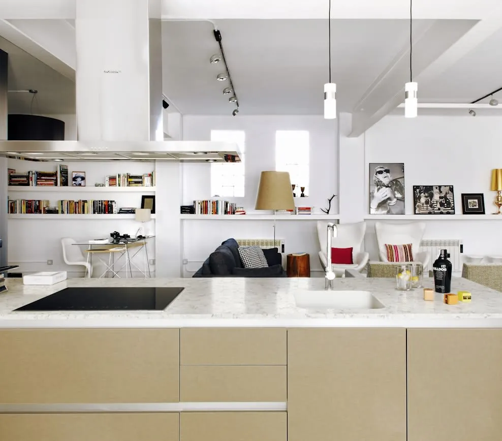 Blanco Orion kitchen