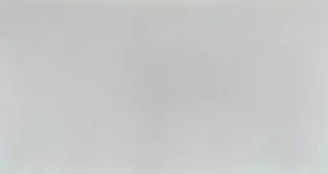 Calacatta Cleo Grey quartz slab
