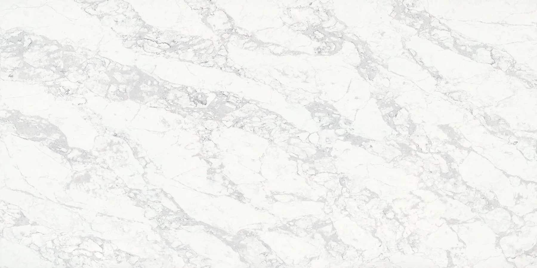 Calacatta Delicatus quartz slab