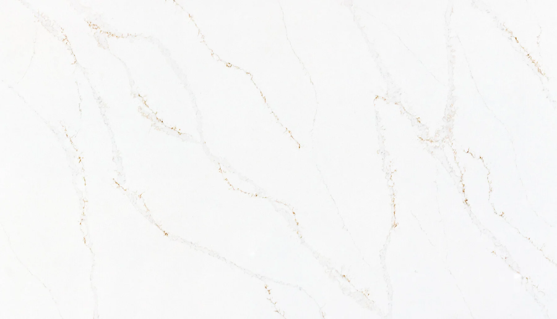Calacatta Gold Jumbo quartz slab