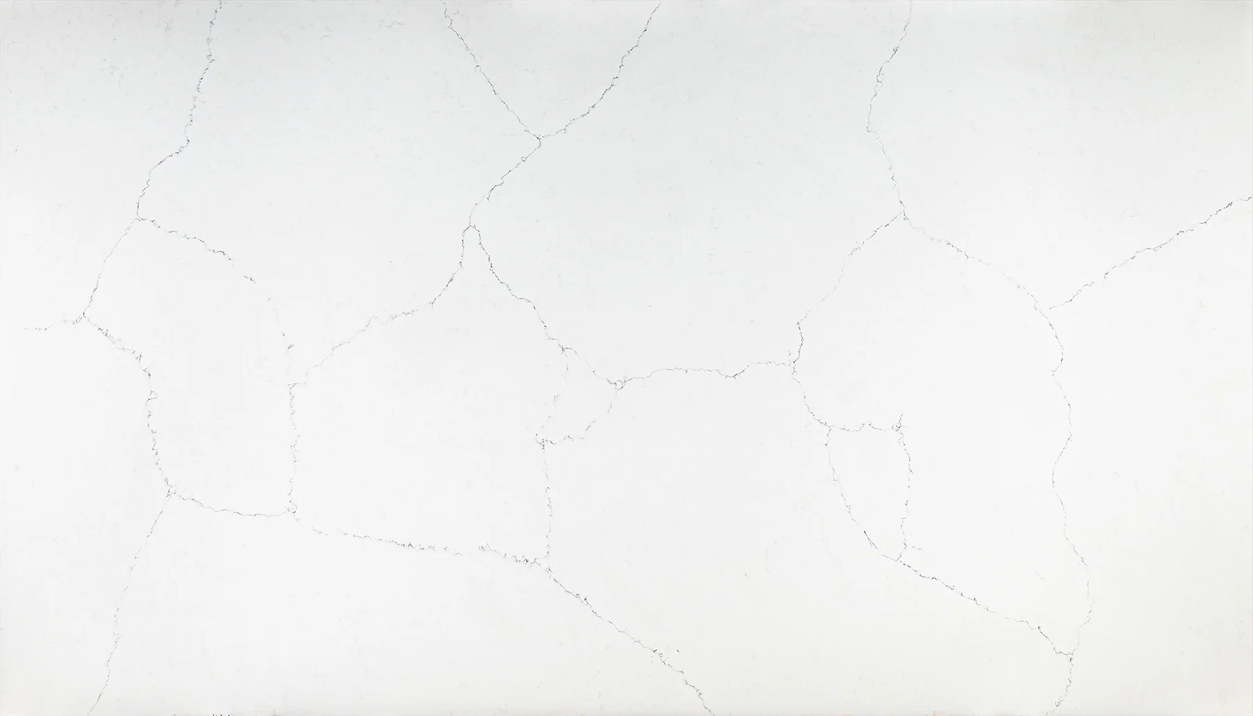 Calacatta Roma quartz slab