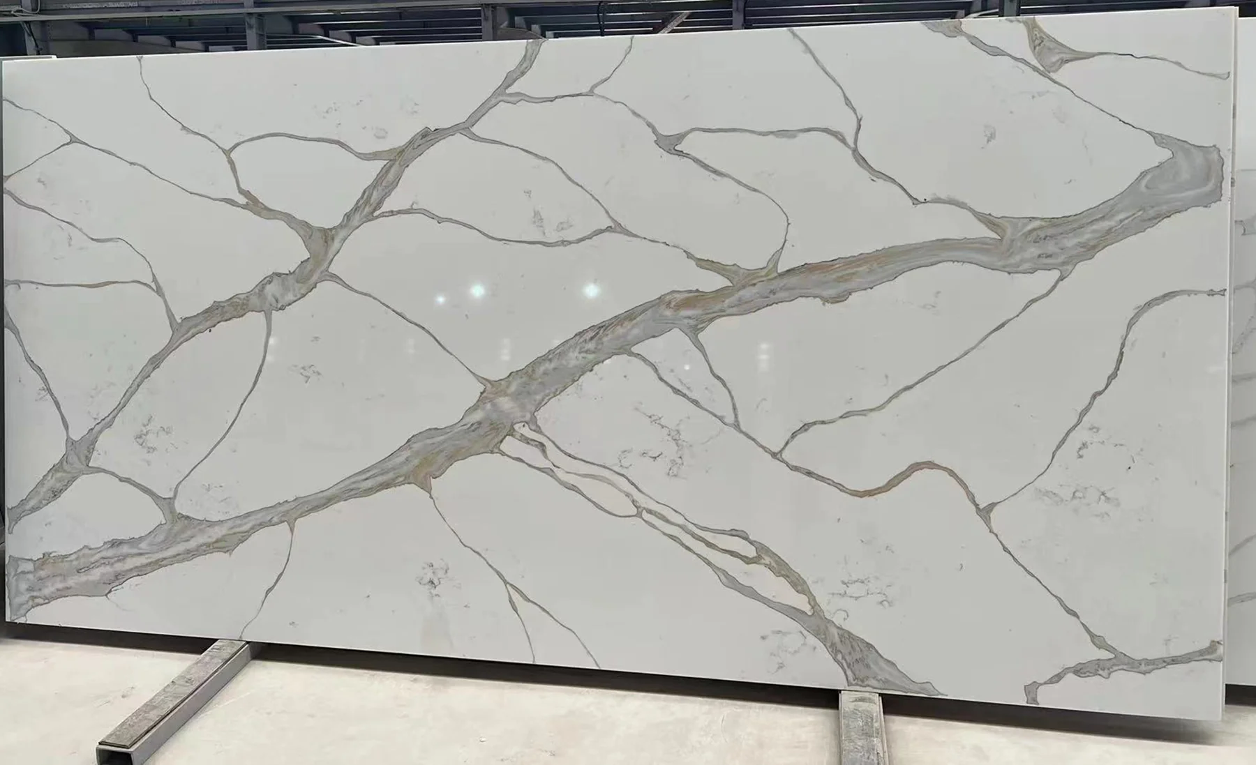 Calacatta Sepia quartz slab