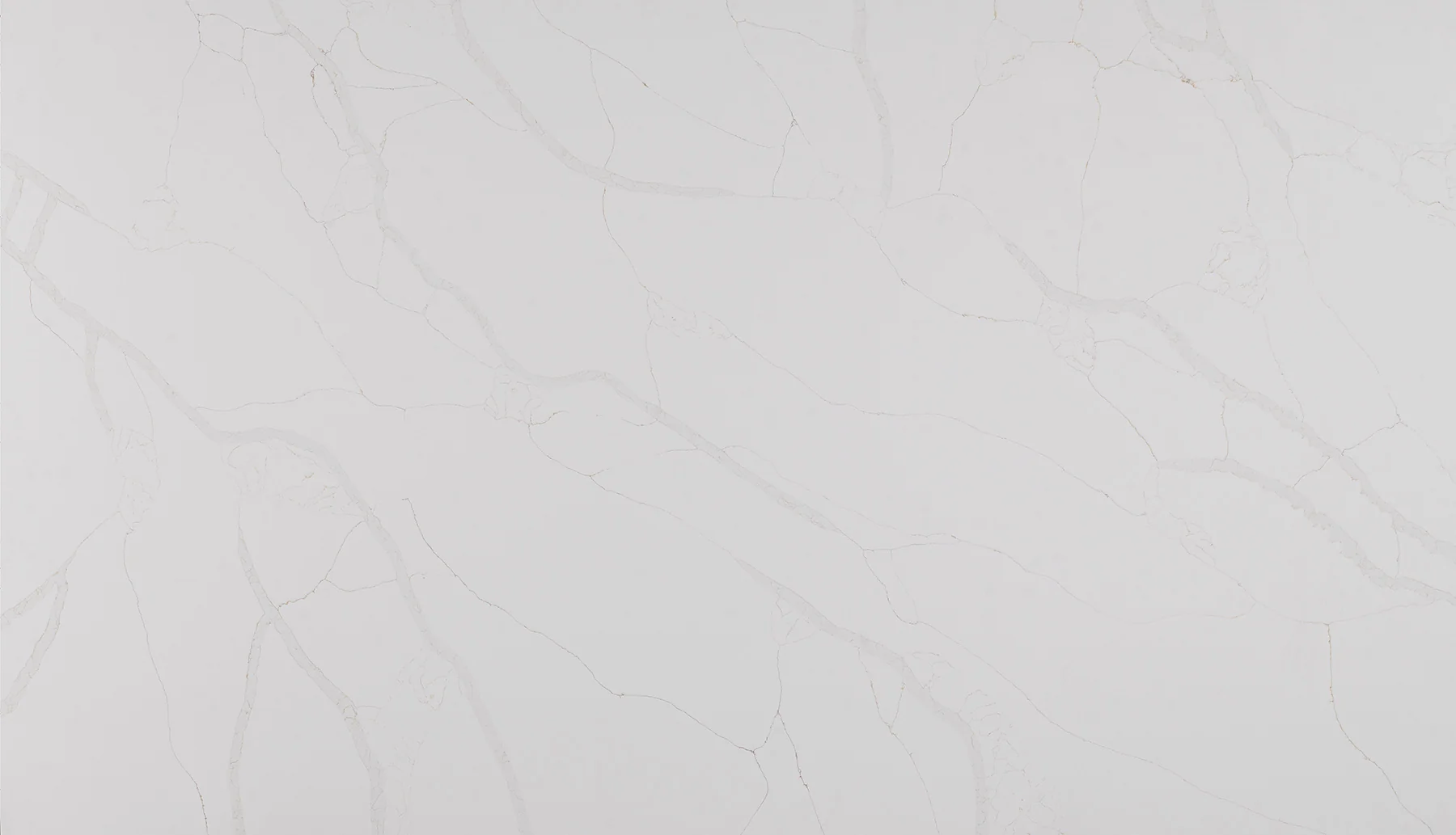 Calacatta Sponda Gold quartz slab