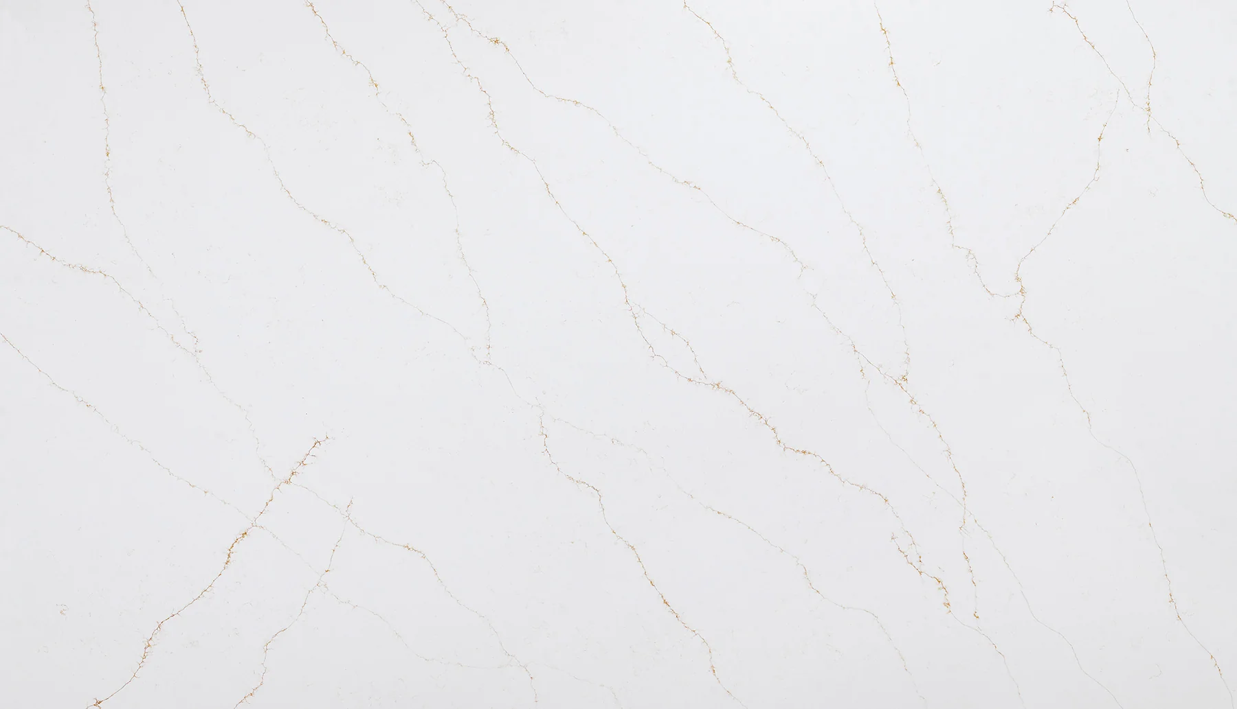 Calacatta Unique Gold quartz slab