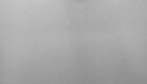 Carrara Vicenza quartz slab