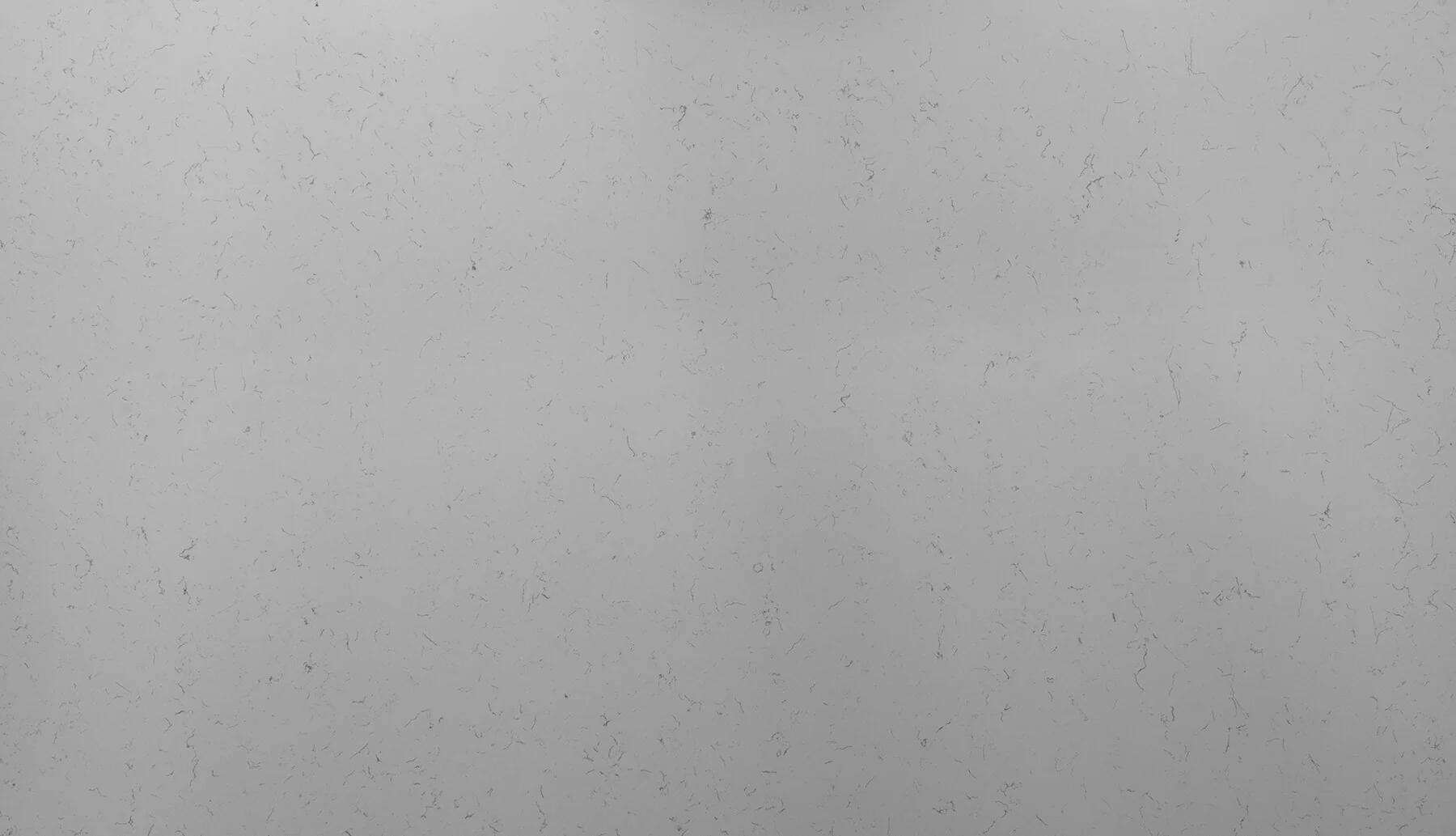 Carrara Vicenza quartz slab