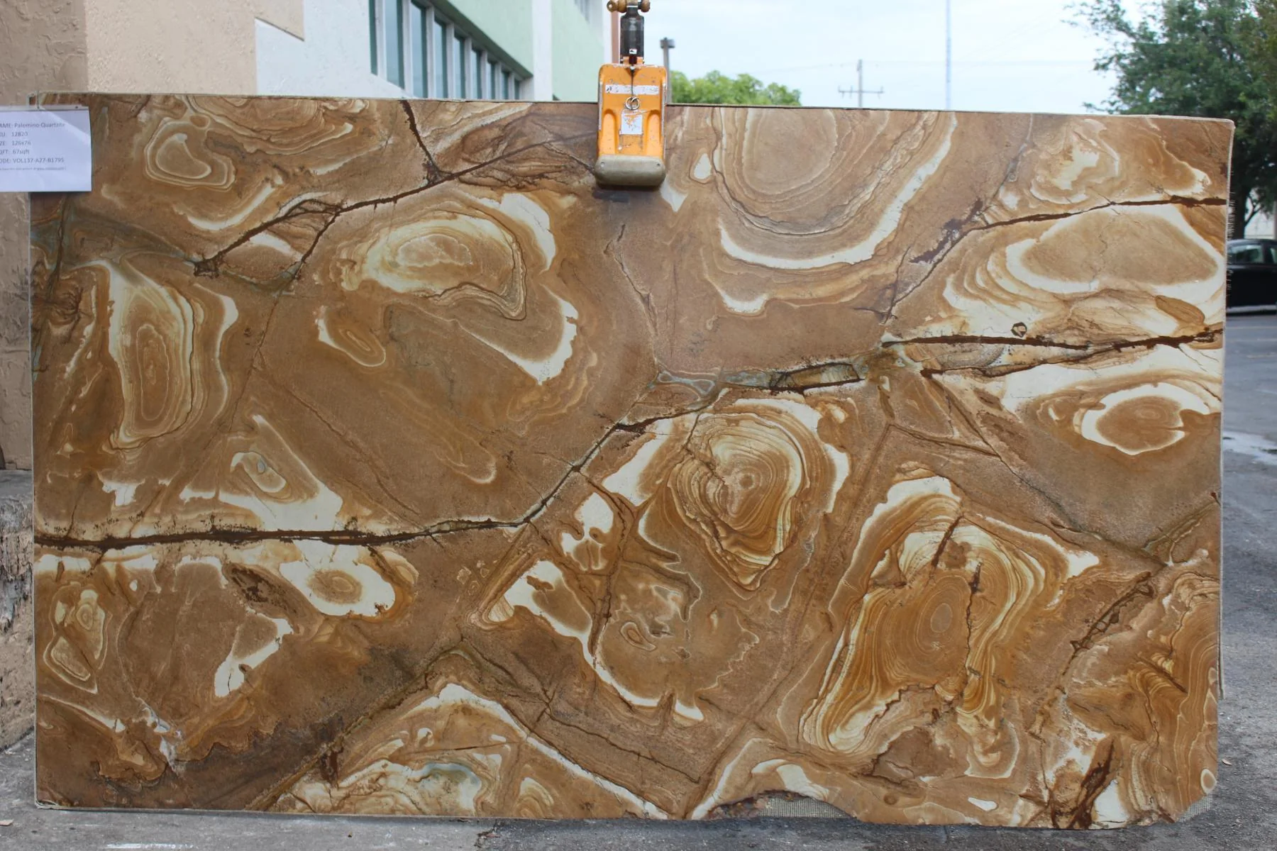 Palomino Quartzite quartzite slab
