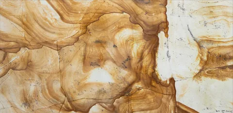 Panettone Quartzite 2CM quartzite slab