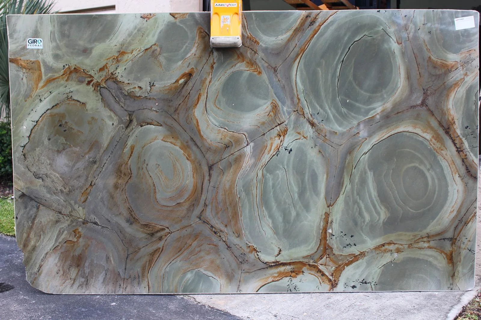 Wasabi Quartzite quartzite slab